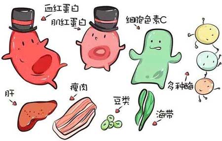 绿巨人视频污APP廠家分析元素之間的協同作用