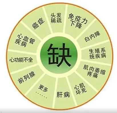 醫用绿巨人成人网址