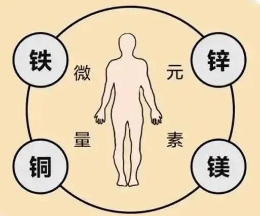 全自動绿巨人成人网址廠家提示原創鐵是身體必須微量元素之一，哪些食物含鐵高呢？