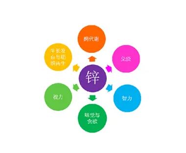 微量元素測定儀廠家提示關愛男士健康，適度補充鋅元素也不能少！