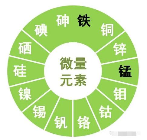 绿巨人成人网址提示鋅、硒、錳、釩等微量元素對男性生育有哪些作用？